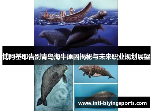 博阿基耶告别青岛海牛原因揭秘与未来职业规划展望