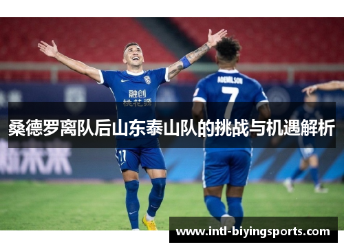 桑德罗离队后山东泰山队的挑战与机遇解析