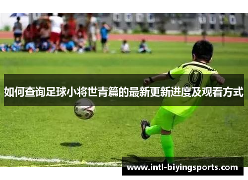 如何查询足球小将世青篇的最新更新进度及观看方式