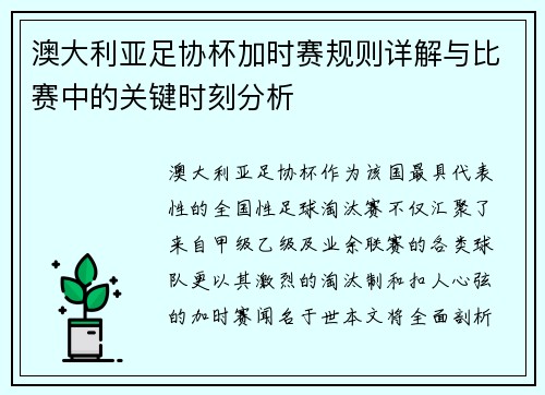 澳大利亚足协杯加时赛规则详解与比赛中的关键时刻分析
