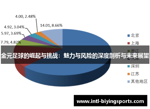金元足球的崛起与挑战：魅力与风险的深度剖析与未来展望